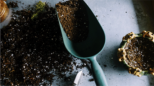 Garden Essentials